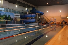 delphin_11