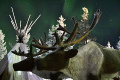 Screenshot_4